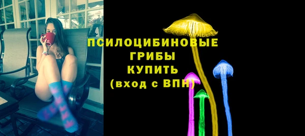 твердый Дмитров